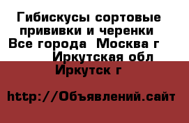 Гибискусы сортовые, прививки и черенки - Все города, Москва г.  »    . Иркутская обл.,Иркутск г.